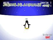 Juego de Animales Arrastra al Pingüino