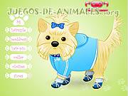 Juego de Animales My Glamour Pet