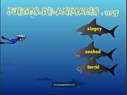 Juego de Animales Tesoro Bajo el Mar